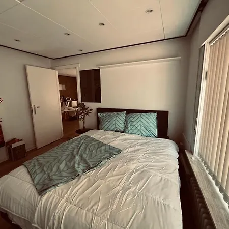 Daire Cozy Studio *